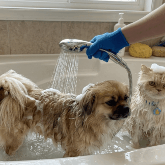 Conditioner & Haarmasken