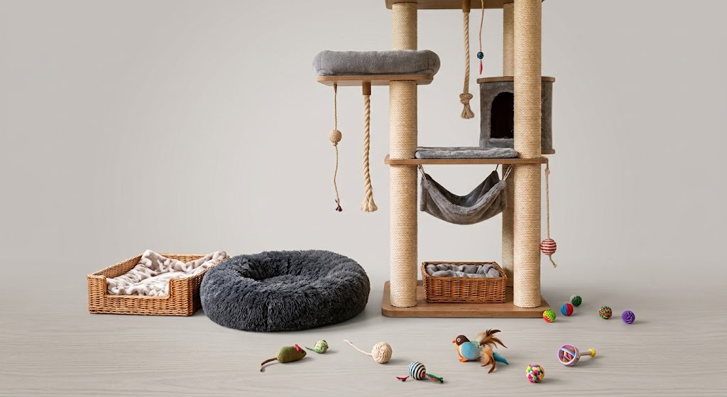 Accessoires für Katzen