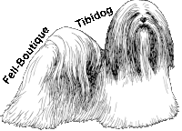 Fell-Boutique Tibidog