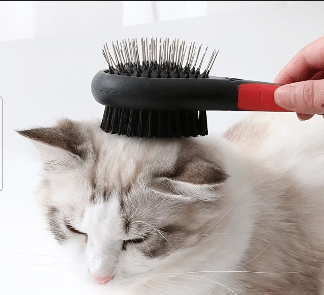 Zweiseitige Fellbürste für Hunde & Katzen - Oval – Bild 3